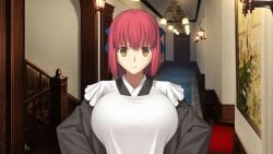 Tsukihime (Remake) Rule 34 Image