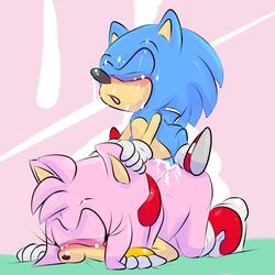 af-js amy_rose anthro blush color cum cum_in_pussy female fur furry furry_only hedgehog male mammal nude on_stomach open_mouth pink_background sex simple_background sonic_(series) sonic_the_hedgehog straight uncensored