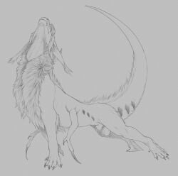 animal_genitalia balls black_claws claws dragon feral fur furred_dragon furred_scalie genitals hi_res hybrid male mane mythological_creature mythological_scalie mythology scalie sheath solo stretching yaroul