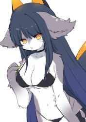 1girls 2023 anthro bangs big_breasts black_hair blue_hair bra breasts claws cute cute_fang female female_only furry furry_only grey_body grey_fur hime_cut horns long_hair looking_at_viewer navel open_mouth orange_eyes panties paws simple_background spommmm stockings white_fur wholesome