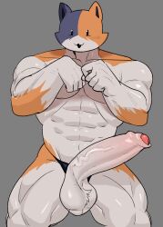 1boy 2d anthro balls ballsack big_balls feline foreskin fortnite furry huge_cock male male_only meowscles meowscles_(fortnite) penis uncircumcised uncut