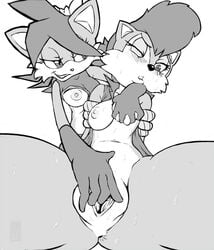 5_fingers anthro anus archie_comics blush breast_grab breasts canine chipmunk clothes female female_only fingering fiona_fox fox front_view fur furry furry_breasts furry_ears greyscale hair interspecies looking_at_another looking_left mobian_(species) monochrome multiple_females nipples pointy_ears r-fenrir sally_acorn sega smile sonic_(series) sonic_satam sonic_the_hedgehog_(archie) sonic_the_hedgehog_(comics) sonic_the_hedgehog_(series) spread_legs sweat vulva wink yuri