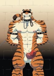 abs absurd_res anthro bara biceps big_muscles blindfold bodily_fluids bondage chains collar cuff_(restraint) cum cum_string erect_nipples felid front_view genital_fluids genitals hands_behind_back happy hi_res humanoid_genitalia humanoid_penis leaking_cum leash leash_in_mouth leashed_collar male male_focus male_only mammal muscular nipple_piercing nipple_ring nipples nude object_in_mouth pantherine pecs penis piercing pubes restraints ring_piercing roaringmoon slave smile solo standing submissive submissive_male tiger