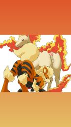 2girls arcanine ass_focus canine_pussy equine_pussy feral multiple_girls pokemon pokemon_(species) rapidash teats