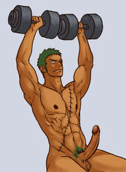 roronoa zoro from one piece by ricedogs