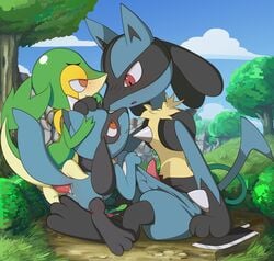lucario from nintendo by tricksta