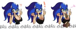 sonic the hedgehog from sega by cuisine