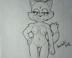 anthro aval0nx blaze_the_cat cat feline female female_only fur mammal solo sonic_(series) tagme