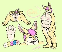 anthro breasts chubby forceswerwolf fur furry lagomorph model_sheet nude overweight paws rabbit sumi_tsunami tagme