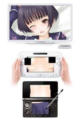 censored nintendo_3ds tagme wii wii_u