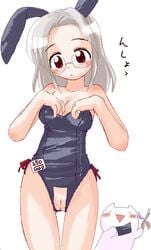 animal_ear bare_shoulders blush breasts brown_eyes bunny_ear bunny_suit bunnysuit cleavage crotchless female glasses ikkyuu monar no_panties pussy scissors silver_hair simple_background solo uncensored