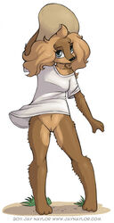 2011 anthro blonde_hair blue_eyes bottomless canid canine canis cowboy_hat cowgirl female fur furry furry_only hair hat jay_naylor original_life_universe_(jay_naylor) plain_background pussy skimpy solo topwear trixie_(jay_naylor) white_background