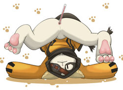 anal anus blazblue feline fever jubei_(blazblue) male_only pussy solo solo_male thermometer