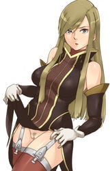 blonde_hair blue_eyes brown_hair censored detached_sleeves dress_lift female garter_straps garters gloves gus_(clarkii) long_hair no_panties pubic_hair pussy side_slit skirt skirt_lift solo tales_of_(series) tales_of_the_abyss tear_grants thighhighs white_background white_gloves