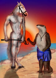 2011 beach bondage bound equine erection foxia gay horse light_bondage male otter penis seaside sunset