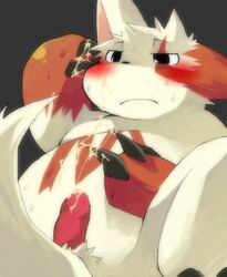 blush cum konbu male male_only messy penis pokemon pokemon_(species) zangoose