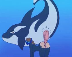 cajuzinho02 feral feral_on_female feral_penetrating feral_penetrating_human feral_penetrating_female bestiality whale orca interspecies anonymous_female cetacean female_human male_feral underwater diver diving_suit divine_slut raped_female anal anal_penetration anal_insertion pussy vulva smile smiling oc dolphin questionable_consent tits mask diving_mask extreme_penetration human_on_feral female_on_feral cetacean_penis cetacean_genitalia