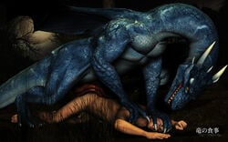 dragon dragonfood erection from_behind gay human interspecies male muscles penis scalie sex tail wings