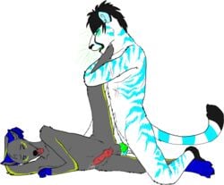 akiko anthro bad_anatomy blue canine cum cyan feline fur furry gay green grey ken male pink tiger white_fur