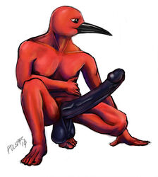 1boy avian balls beak big_penis bird hyper ibis male male_only penis pulsar solo