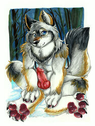 1boy 2011 black black_nose blue_eyes brown canine canine_penis chest_tuft claws erection fluffy forest furry hindpaw inuki knot looking_at_viewer male male_only night nude outdoors pawpads paws penis presenting sitting smile solo spread_legs spreading tail tree tuft white_fur wolf wood