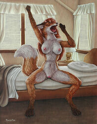 bed bedroom breasts canine female fox furry open_mouth orange pussy tail taurin_fox waking_up white_fur yawn yawning