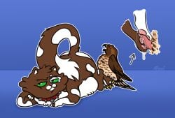 accipitrid accipitriform avian beak bird bodily_fluids broad-winged_hawk buteo cum domestic_cat duo erection feathers feet felid feline felis feral foot_fetish foot_play footjob fur genital_fluids genitals hi_res male male/male mammal pawpads paws penis princeton_(pteri) pteri_(artist) sex simple_background tail tapering_penis toes