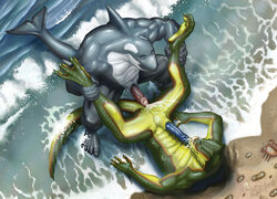 2011 alpha0 anal anthro beach cetacean crab cum cum_inside furry gay male muscles no_humans orca penis reptile scalie seaside toumal water