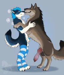 2026 animal_genitalia anthro anthro_on_feral ass balls biped canid canine canis claws clothed clothed_anthro clothed_male clothing digital_drawing_(artwork) digital_media_(artwork) duo erection feet fenn.perrox feral fur genitals hair hi_res male male/male male_on_anthro male_on_feral mammal penis sheath smile tail teeth toes wolf zoophilia