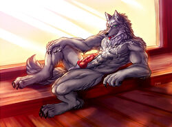 1boy 2011 anatomically_correct anthro balls canine cum cum_on_chest fudchan fur furry knot male male_only masturbation messy nude on_back penis solo thundergrey wolf