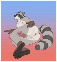 anthro anus circumcised erection flat_colors fur genitals grey_body grey_fur hi_res humanoid_genitalia humanoid_penis inviting male mammal markings nude one_ball_out paws penis penis_tuck procyonid raccoon solo spread_anus spreading striped_markings striped_tail stripes tail tail_markings themutt