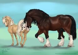 2025 animal_genitalia animal_penis animal_vulva balls black_balls black_mane black_penis black_tail blue_eyes brown_body brown_eyes brown_fur dated duo equid equine equine_genitalia equine_penis equine_vulva female female_feral feral flared_penis fur genitals hayley_(rufciu) hi_res horse leshy_(arthurthequasar) male male_feral mammal mane medial_ring muscular muscular_feral muscular_male open_mouth penis rufciu side_view signature simple_background tail tan_body white_body white_fur white_mane white_tail