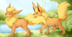 1boy 1girls 2011 black_nose blackfury canine canine_penis chest_tuft color day eeveelution female feral feral_only flareon fluffy fur grass half-closed_eyes lake long_ear looking_back male open_mouth orange outdoors penis pokemon pokemon_(species) red_eyes sheath tail tongue tree tuft water wood yellow
