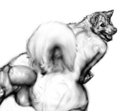 anakuro anal anal_insertion anal_sex anus ass balls black_and_white ass canine curled_tail cute dildo canine fluffy gay husky insertion looking_back male monochrome nude open_mouth panting penetration plain_background presenting raised_tail sex_toy siberian_husky sketch tail tongue toy white_background work_in_progress