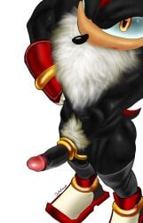 2d ass dick furry male shadow_the_hedgehog sonic_(series)