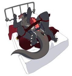 2025 anal anal_sex anthro bed black_body blush bodily_fluids bondage bound claws cuff_(restraint) cum cum_drip cum_on_self digital_drawing_(artwork) digital_media_(artwork) dragon dripping feet furniture gagaga_ram genital_fluids genitals handcuffed_to_bed handcuffs hi_res korean_description legs_tied long_penis long_tail lying male metal_cuffs mythological_creature mythological_scalie mythology object_in_ass on_back on_bed penetration penile penis rear_view restraints rope rope_bondage scalie sex_toy sex_toy_in_ass sex_toy_insertion shaded solo sweat sweatdrop tail tail_anus tapering_penis tied_to_bed tongue tongue_out vibrator vibrator_in_ass vibrator_on_penis