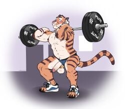 2025 anthro ass ball_stretcher balls barbell blush brown_body brown_fur clothed clothing countershade_arms countershade_balls countershade_butt countershade_crotch countershade_face countershade_genitalia countershade_hands countershade_neck countershade_torso countershading crouching erection exercise felid foreskin fur genital_piercing genitals hi_res humanoid_genitalia humanoid_penis jockstrap jockstrap_only kivi_(kivitgr) labradorszn male male_anthro mammal muscular muscular_anthro muscular_male nipples orange_body orange_fur pantherine penis penis_piercing piercing pink_penis prince_albert_piercing solo striped_body striped_fur stripes tan_body tan_fur tan_penis tiger topless underwear underwear_only wardrobe_malfunction weightlifting whisker_spots workout