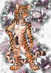 >:3 1boy anthro balls bengal_tiger black_penis blue_eyes dk_luis erection feline fur furry hindpaw hyseed male male_only nahald nude paws penis solo stripes tail tiger