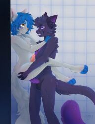 absurd_res animal_genitalia animal_penis anthro bathing blue_hair canid canine domestic_cat duo feet felid feline feline_genitalia feline_penis felis fox full_render full_scene fur genitals grey_body grey_fur hair hi_res male male/male mammal ozymare ozyrune penis pink_penis purple_body purple_eyes purple_fur purple_hair purple_penis sex shower shower_room shower_sex showering showering_together yellow_eyes