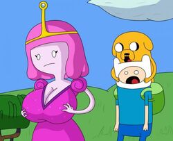 finn the human from adventure time
