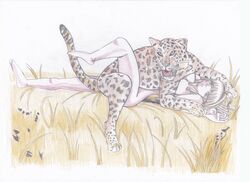 animal bare_shoulders blush brown_hair doggy_style grassy high_resolution humping leopard lying nature on_back sex sweat sweaty zoophilia