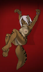 anthro bondage breasts canine chains collaboration feline female fur furry hair hybrid kimber looking_at_viewer mammal nude pira plain_background pussy red_background seductive slowfag solo suspension tiger white_hair wolf