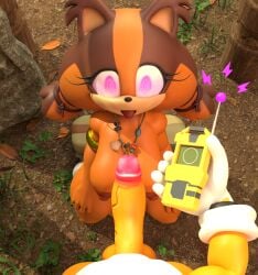 sticks the badger from sonic (series) by graveflight