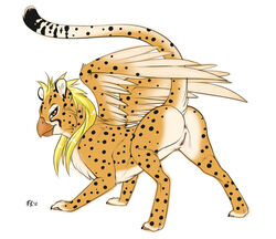 anus avian beak cheetah feline female feral fluff-kevlar gryphon hybrid looking_at_viewer mihari pussy raised_tail wings