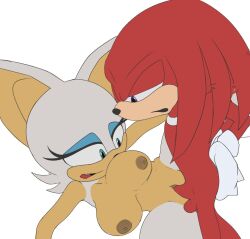 breasts caminacarro4000 colored female knuckles_the_echidna male male/female no_background rouge_the_bat sega sex shaded sonic_(series) sonic_adventure_2 sonic_the_hedgehog_(archie) sonic_the_hedgehog_(comics) sonic_the_hedgehog_(idw) sonic_the_hedgehog_(series) vaginal_penetration