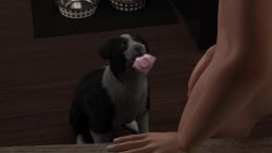 3d 3d_animation aaddcc after_sex anatomically_correct anatomically_correct_genitalia anatomically_correct_vulva animal_genitalia animal_vulva animated anus asking_for_sex ass beastiality big_dom_small_sub big_penis black_body black_fur blender_cycles bodily_fluids border_collie canid canine canine_genitalia canine_vulva canis chair condom condom_wrapper consent cum dark_body detailed_background detailed_fur domestic_dog erection explicitly_stated_consent female female_feral female_on_human female_penetrated feral_penetrated filled_condom fur furniture genitals hand_on_leg holding_partner human human_on_feral human_penetrating human_penetrating_feral interspecies inviting kitchen lifted lifting_partner light-skinned_male light_skin looking_at_another looking_pleasured male male/female male_human male_on_feral male_penetrating male_penetrating_female male_penetrating_feral multicolored_body multiple_angles non-verbal_consent nude nude_male open_mouth penetration penile_penetration penis penis_in_vagina pink_condom plump_labia realistic realistic_feral sex_request short_fur size_difference smaller_female smaller_penetrated tagme tail tailwag tongue_out vaginal_penetration video vulva wearing_condom white_body white_fur zoophilia