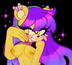 mina mongoose from sonic (series)