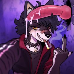 tipperary (catlad) fan art