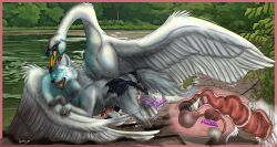 absurd_res anal anatid animal_genitalia animal_penis anseriform anserine anus arctic_fox arcticdunx ass avian avon_derussate beak bird bodily_fluids breeding_mount came canid canine canine_genitalia canine_penis claws close-up corkscrew cum cum_inside dominant dripping dunx duo ejaculation feathers feral feral_on_feral fluffy fluffy_tail fox from_behind_position fur genital_fluids genitals glowing glowing_eyes hi_res holding_person internal knob knot leak lifted magic male male/male mammal money_shot mounting mud orgasm outside partially_submerged pawpads paws penis plap pond prostate sex sheath sinking size_difference sounds stuck submissive swamp swan tail teeth tongue true_fox water wings