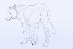 Hole (Anatomy) Rule 34 Image